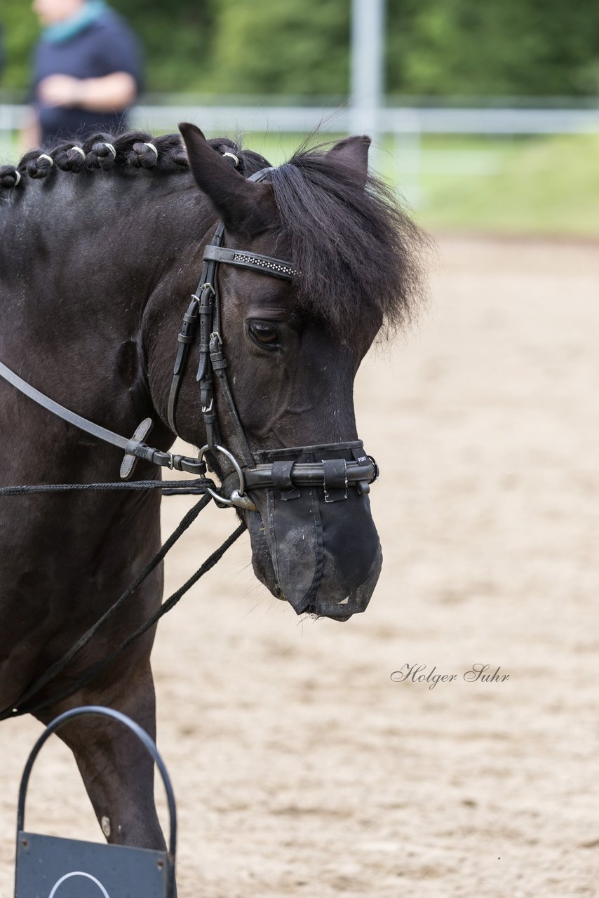 Bild 28 - Pony Akademie Turnier